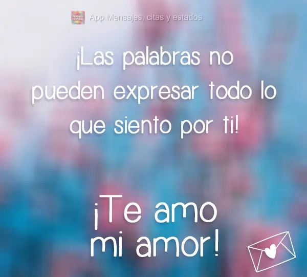 ¡Las palabras no pueden expresar todo lo que siento por ti! ¡Te amo mi amor!