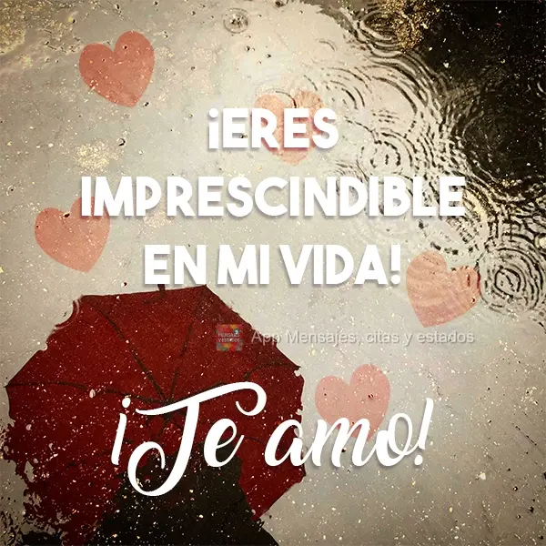 Você é essencial na minha vida!  Amo você!