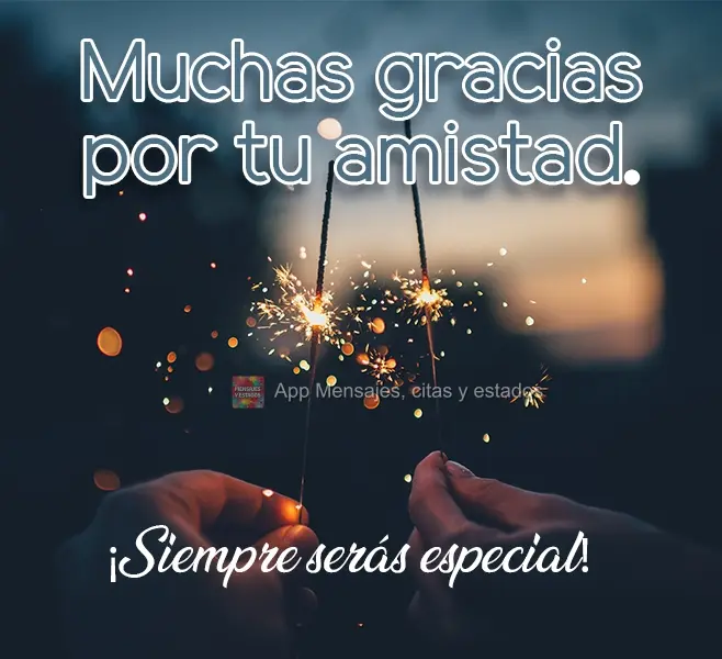 Muito obrigada pela sua amizade.  Você sempre será especial!