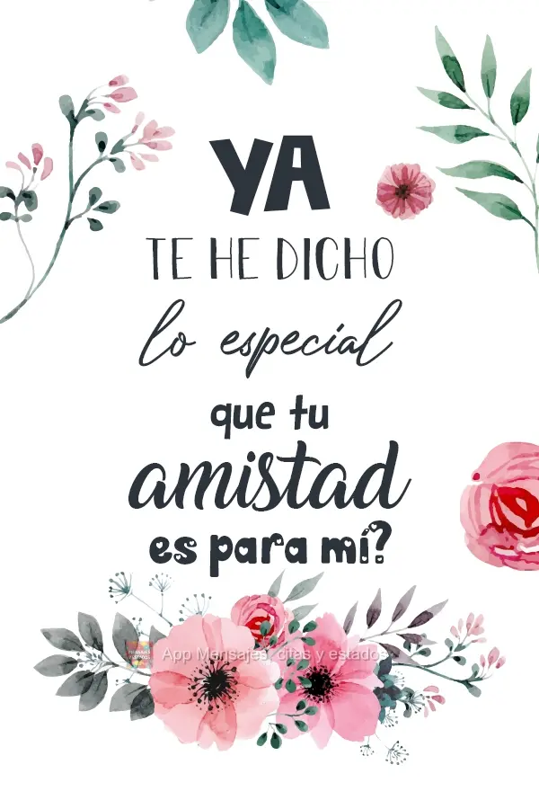 ¿Ya te he dicho lo especial que tu amistad es para mí?