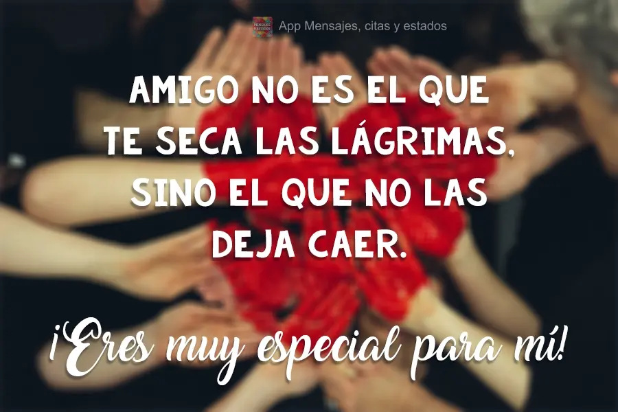 Amigo no es el que te seca las lágrimas, sino el que no las deja caer. ¡Eres muy especial para mí!