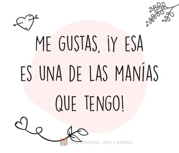 Me gustas, ¡y esa es una de las manías que tengo!