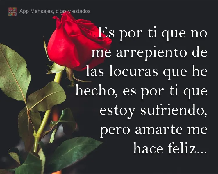 Por você não me arrependo das loucuras que eu já fiz. Por você estou sofrendo, mas te amar me faz feliz...
