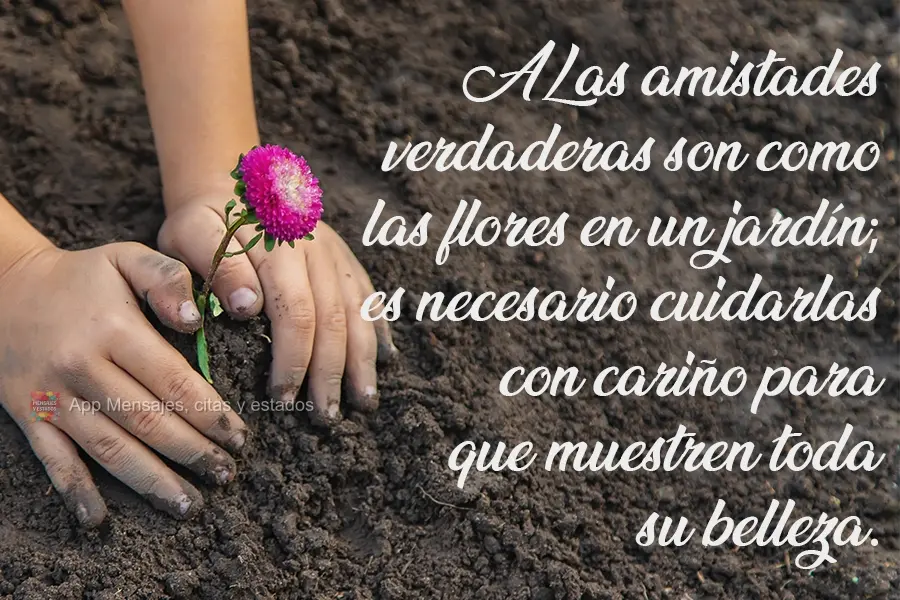 Amizade verdadeira é como as flores de um jardim; é preciso cuidar carinhosamente delas para que mostrem toda sua beleza.
