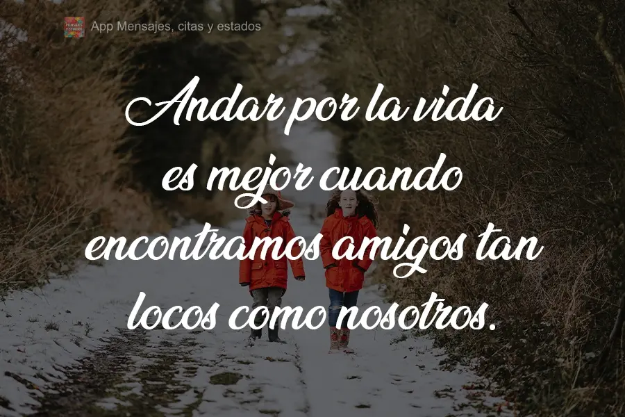 A vida se torna uma jornada melhor quando encontramos amigos tão loucos quanto nós.
