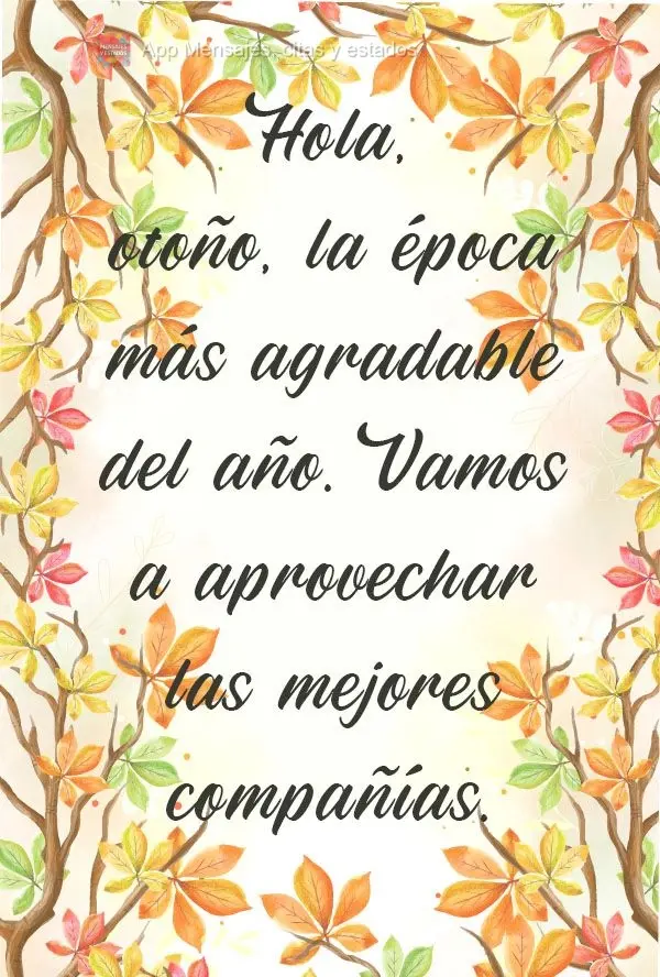 Olá Outono, a época mais gostosa do ano. Vamos aproveitar as melhores companhias.
