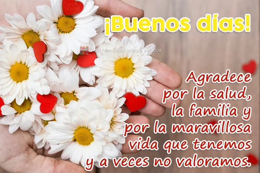 Agradece por la salud, la familia y por la maravillosa vida que tenemos y a veces no valoramos. ¡Buenos días!