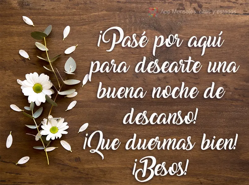 Passei aqui para desejar uma Boa Noite de sono! Durma bem! Beijos!
