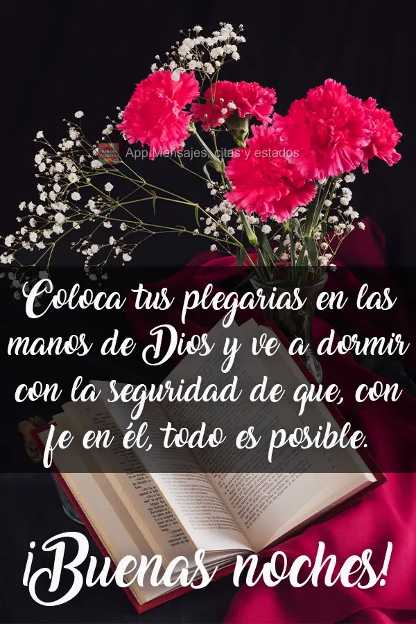 Coloque suas preces nas mãos de Deus e durma com a certeza que com fé nele tudo é possível.
  Boa Noite!