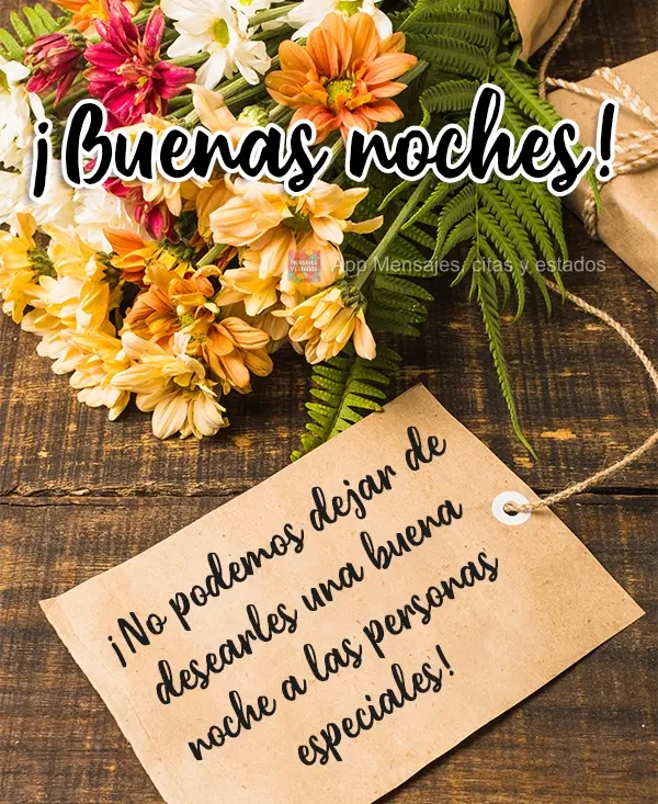 Não podemos deixar de desejar uma boa noite, para pessoas especiais! 
 Boa Noite!