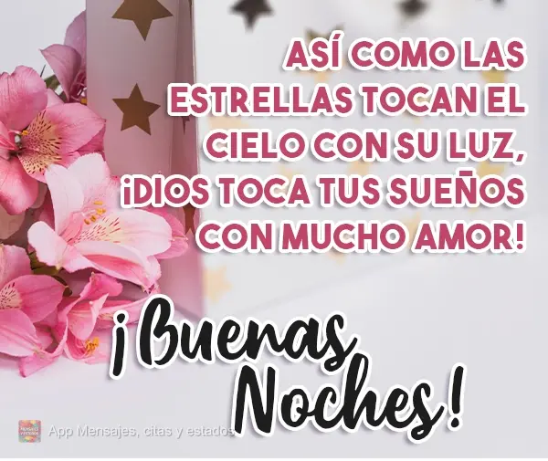 Assim como as estrelas tocam os céus com sua luz, Deus toca seus sonhos com muito amor! 
 Boa Noite!