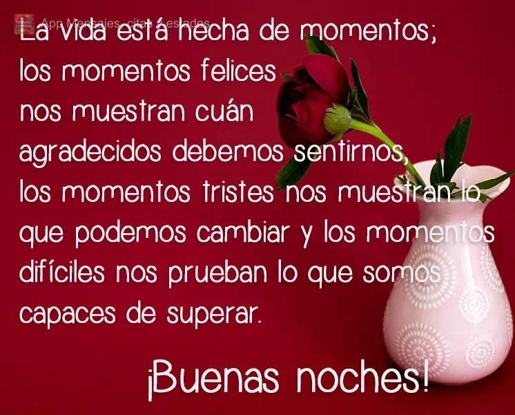 A vida é feita de momentos, momentos felizes mostra o quão gratos devemos estar, momentos tristes nos mostra o que podemos mudar e momentos difíceis n...