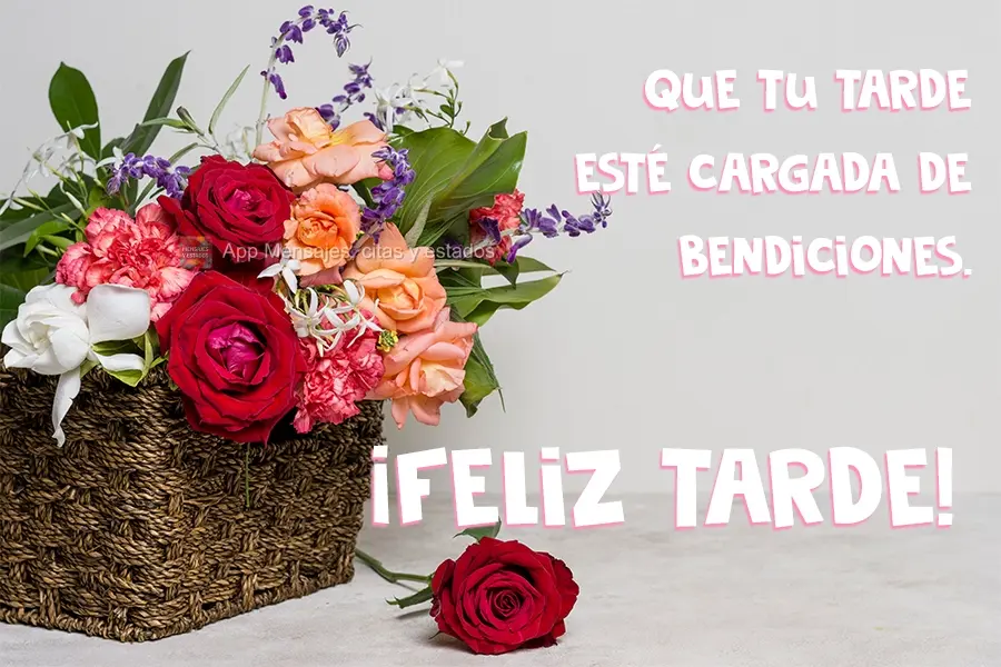 Que tu tarde esté cargada de bendiciones. ¡Feliz tarde!