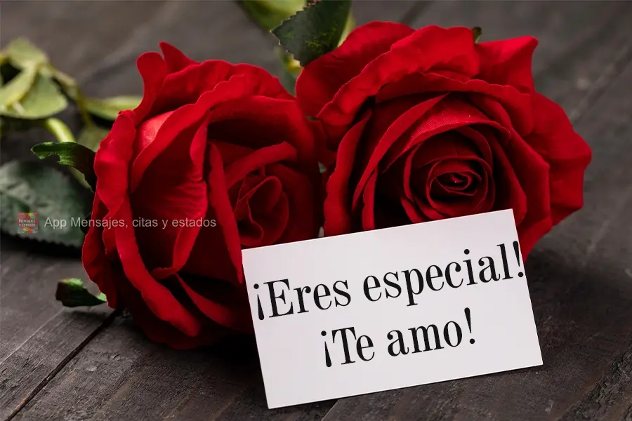 ¡Eres especial! ¡Te amo!