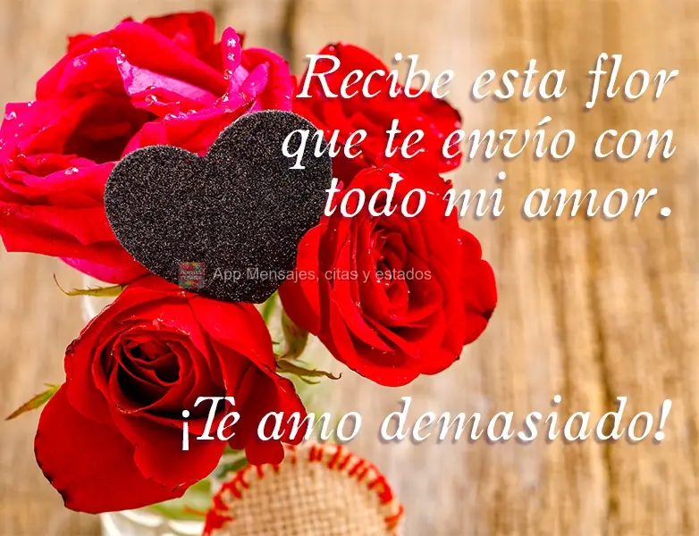 Recibe esta flor que te envío con todo mi amor. ¡Te amo demasiado!