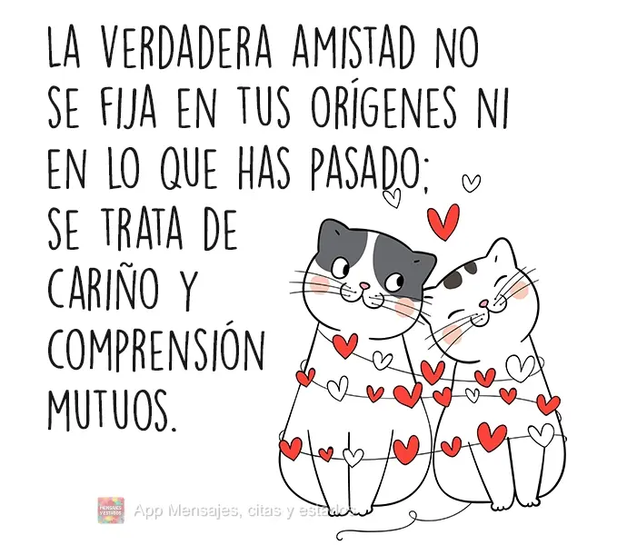 Para a verdadeira amizade não importa de onde você é e o que passou , trata-se de carinho e compreensão mútuos.
