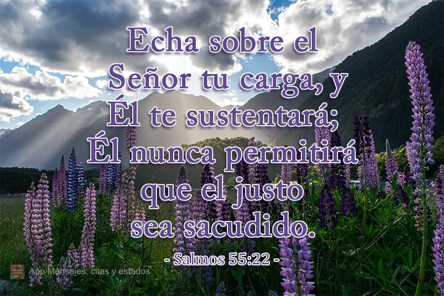 Echa sobre el Señor tu carga, y Él te sustentará; Él nunca permitirá que el justo sea sacudido. Salmos 55:22
