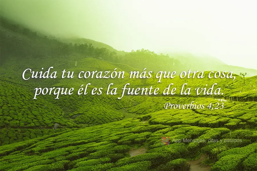Cuida tu corazón más que otra cosa,
porque él es la fuente de la vida. Proverbios 4:23