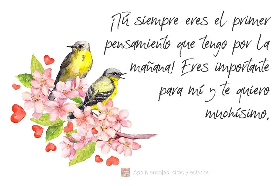 ¡Tú siempre eres el primer pensamiento que tengo por la mañana! Eres importante para mí y te quiero muchísimo.