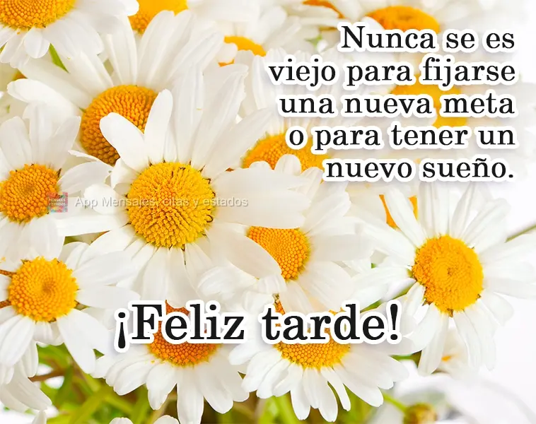 Você nunca está velho para definir uma nova meta, ou para sonhar um novo sonho.  Boa Tarde!