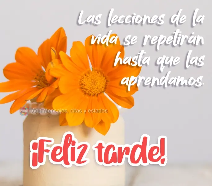 As lições da vida serão repetidas até que aprendam.  Boa Tarde!