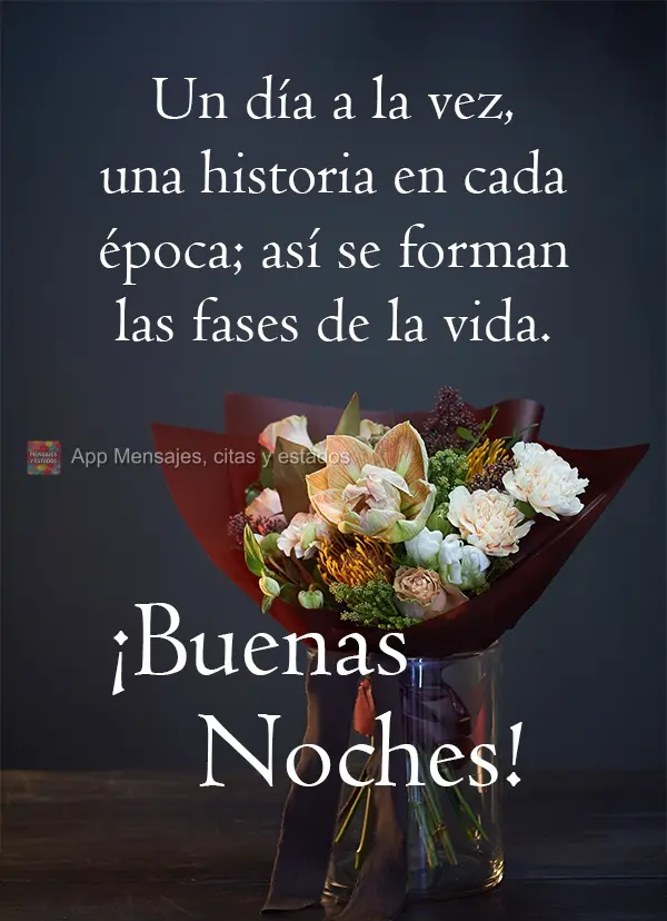 Um dia de cada vez, uma história em cada época, assim se faz as fases da vida. 
 Boa Noite! 