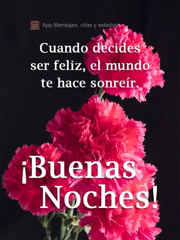 O mundo te faz sorrir, quando você decide ser feliz.
  Boa Noite!