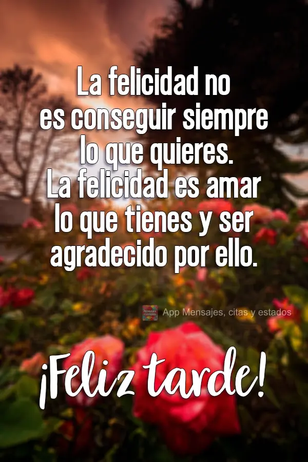 Felicidade não é conseguir o que você quer o tempo todo. Felicidade é amar o que você tem e ser grato por isso.
  Boa Tarde!