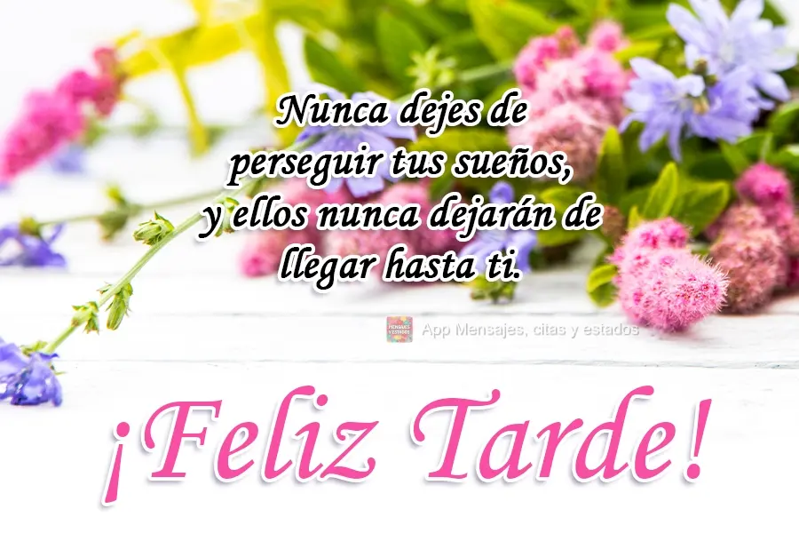 Nunca pare de perseguir seus sonhos e eles nunca vão parar de chegar até você.  Boa Tarde!