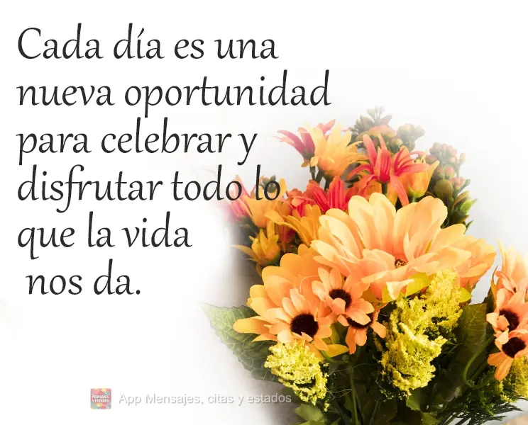 Cada dia é uma nova oportunidade para celebrarmos e usufruirmos de tudo o que a vida nos dá.
