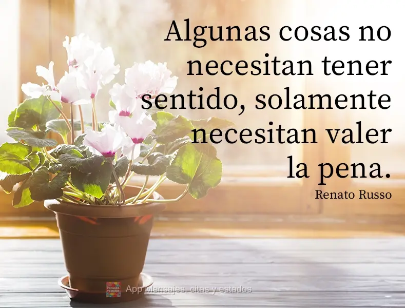 Algunas cosas no necesitan tener sentido, solamente necesitan valer la pena. Renato Russo
