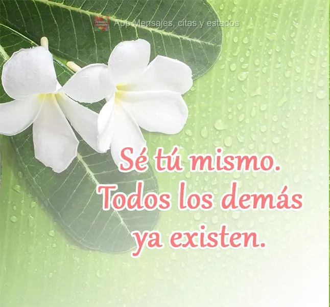 Sé tú mismo. Todos los demás ya existen.