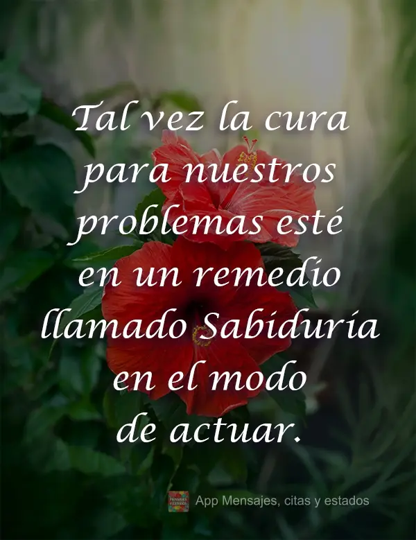 Talvez a cura dos nossos problemas esteja no remédio chamado: Sabedoria no modo de agir.
