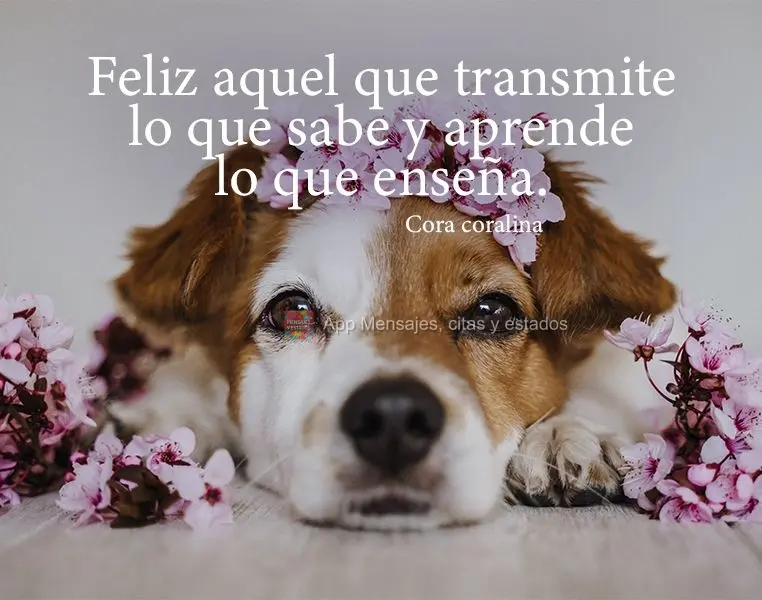 Feliz aquele que transfere o que sabe e aprende o que ensina. Cora coralina