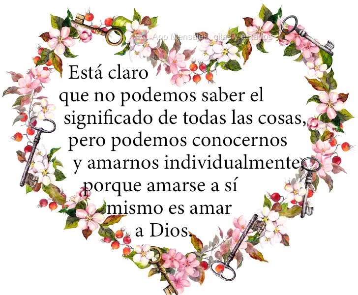 É claro que não podemos saber o significado de todas as coisas, mas podemos nos conhecer e nos amar individualmente, porque amar a si é amar a Deus.
...