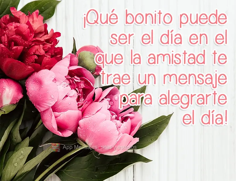 ¡Qué bonito puede ser el día en el que la amistad te trae un mensaje para alegrarte el día!
