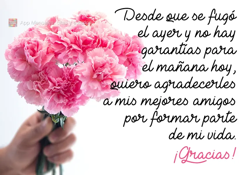 Desde que se fugó el ayer y no hay garantías para el mañana —hoy—, quiero agradecerles a mis mejores amigos por formar parte de mi vida. ¡Gracias...