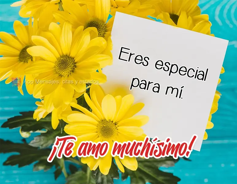 Você é especial para mim.  Amo  muito você!