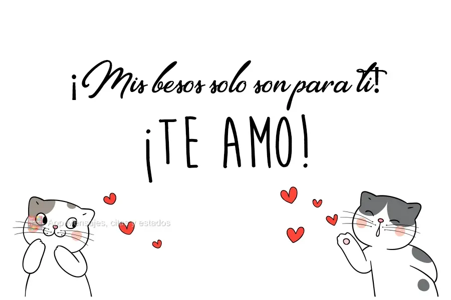 Meus beijos só para você! 
 Eu te amo!