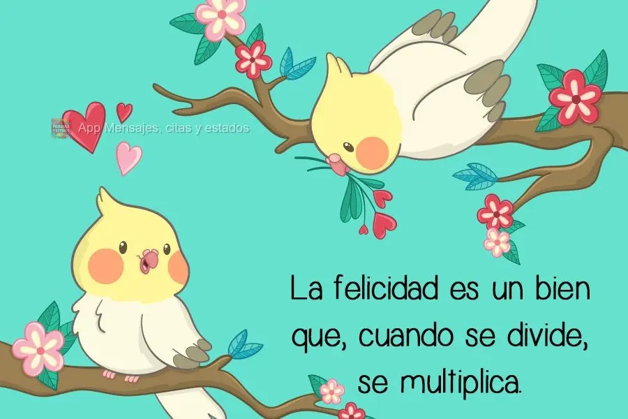 A felicidade é um bem que se multiplica ao ser dividida.
