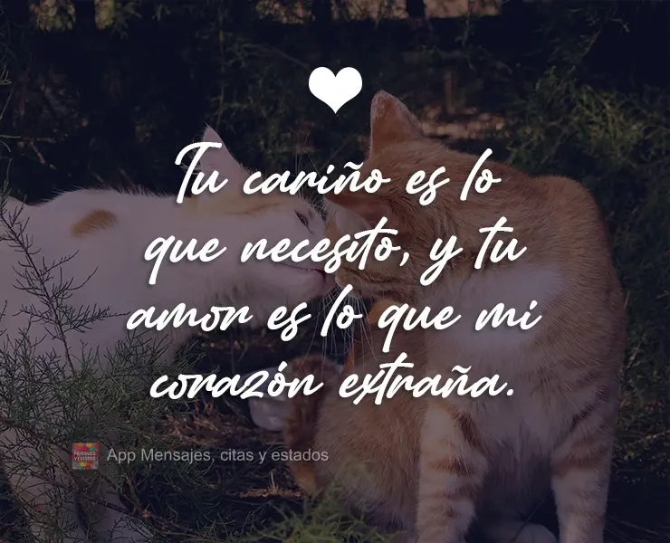 É do seu carinho que preciso e do seu amor que meu coração sente falta. 
