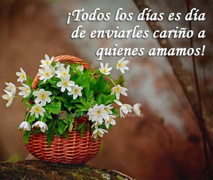 ¡Todos los días es día de enviarles cariño a quienes amamos!