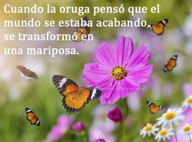 Cuando la oruga pensó que el mundo se estaba acabando, se transformó en una mariposa.
