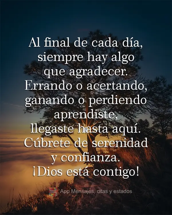 Al final de cada día, siempre hay algo que agradecer. Errando o acertando, ganando o perdiendo aprendiste, llegaste hasta aquí. Cúbrete de serenidad y...