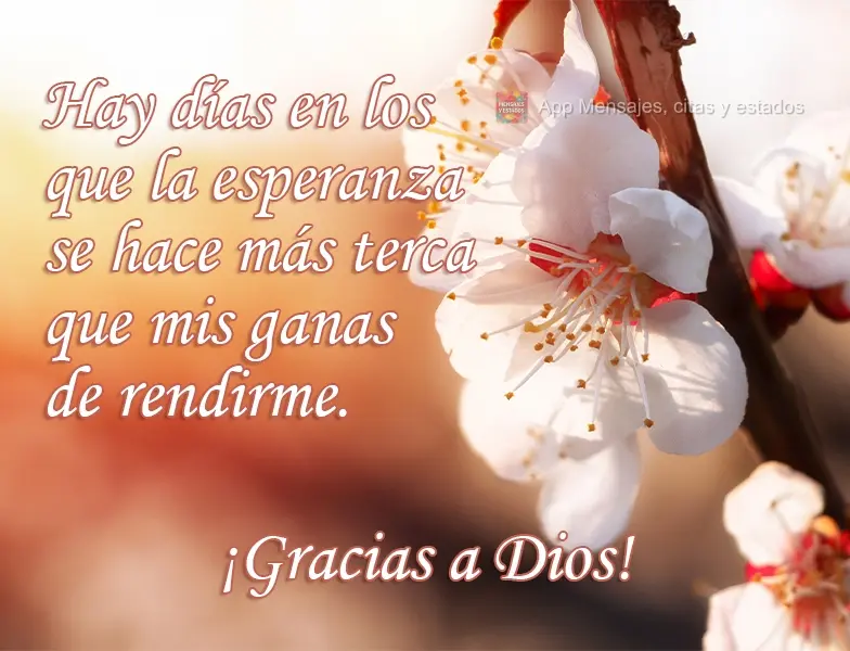 Hay días en los que la esperanza se hace más terca que mis ganas de rendirme. ¡Gracias a Dios!