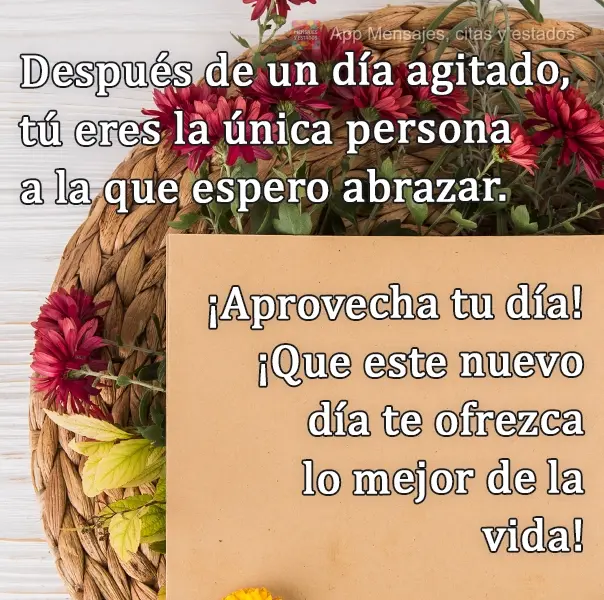 Depois de um dia agitado, você é a única pessoa que espero abraçar. Aproveite seu dia! Que este novo dia lhe ofereça o melhor da vida!
