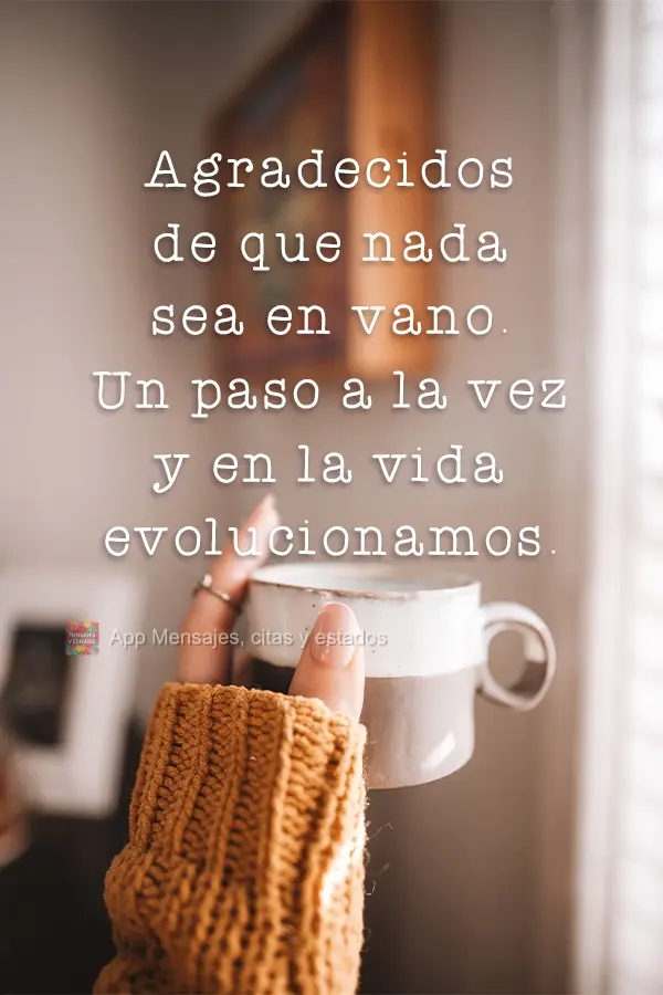 Gratidão por nada ser em vão. Um passo de cada vez e a vida se torna evolução.
