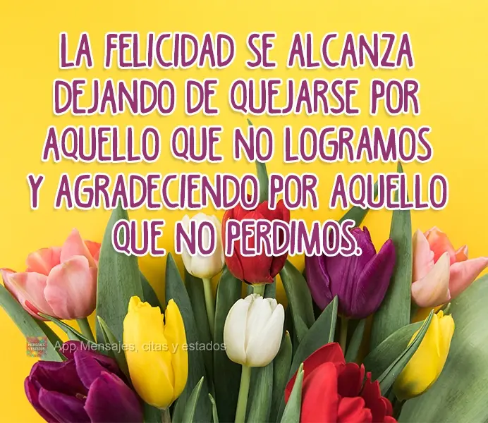 La felicidad se alcanza dejando de quejarse por aquello que no logramos y agradeciendo por aquello que no perdimos.