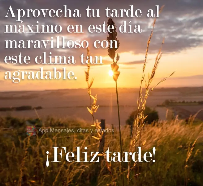 Nesse dia maravilhoso com esse clima agradável aproveite a sua tarde ao máximo. 
 Boa Tarde!