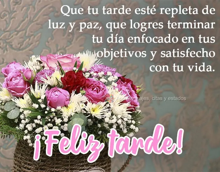 Que sua tarde seja repleta de luz e paz, que você consiga terminar seu dia com foco em seus objetivos e satisfeito pela sua vida. 
 Boa Tarde!